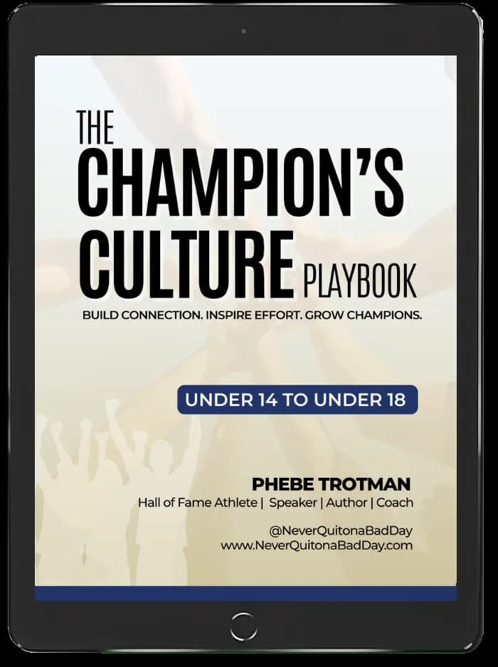 Book mockup preview showing cover design